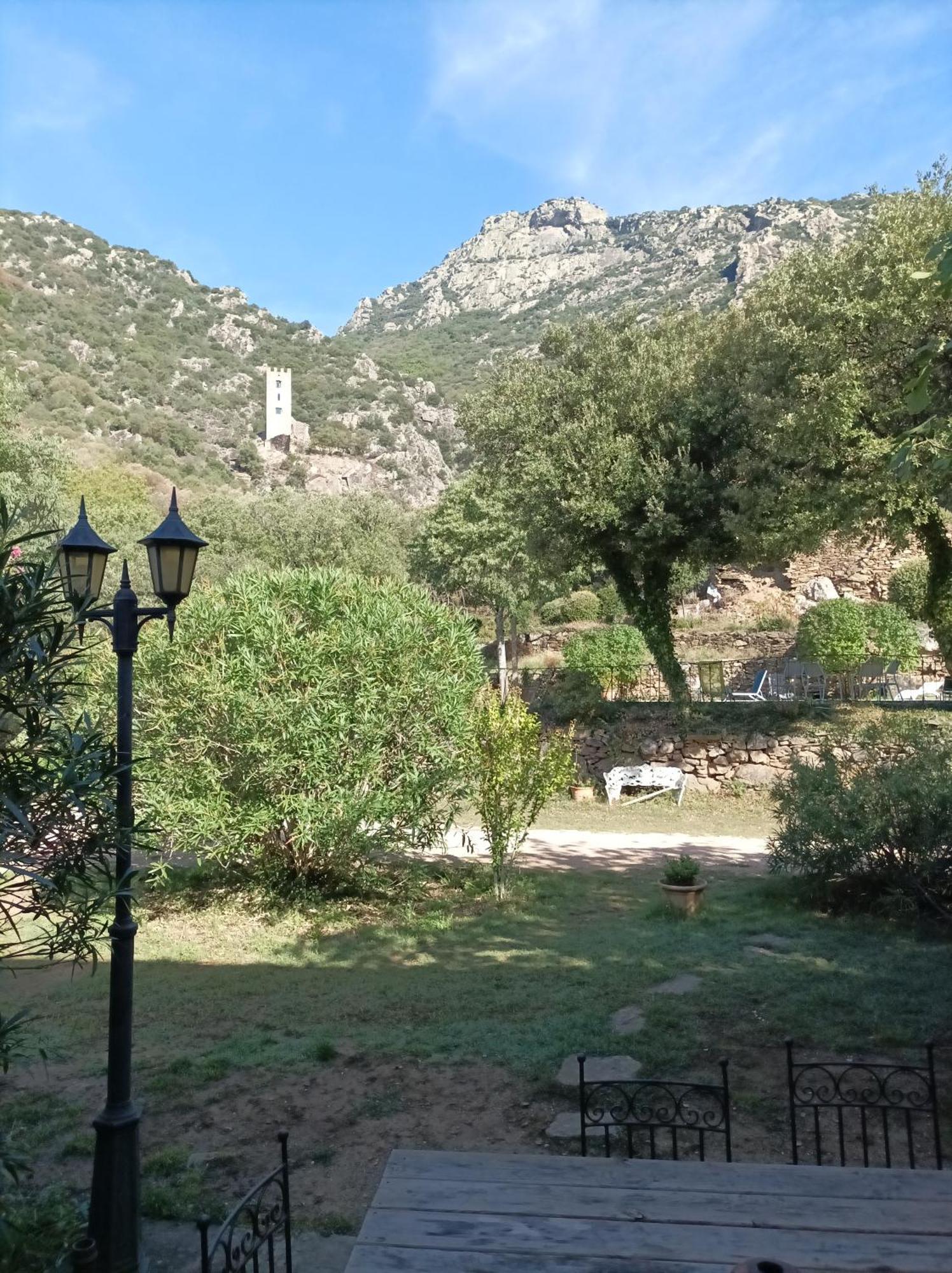 Chateau De Colombieres Sur Orb Bagian luar foto