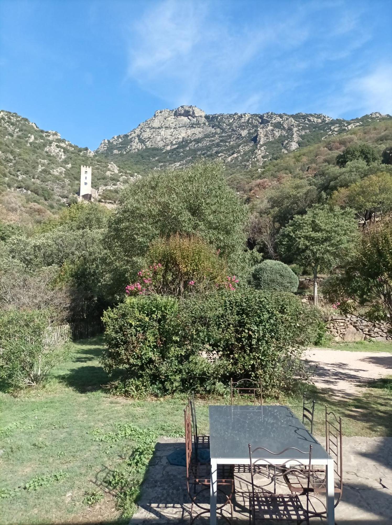 Chateau De Colombieres Sur Orb Bagian luar foto