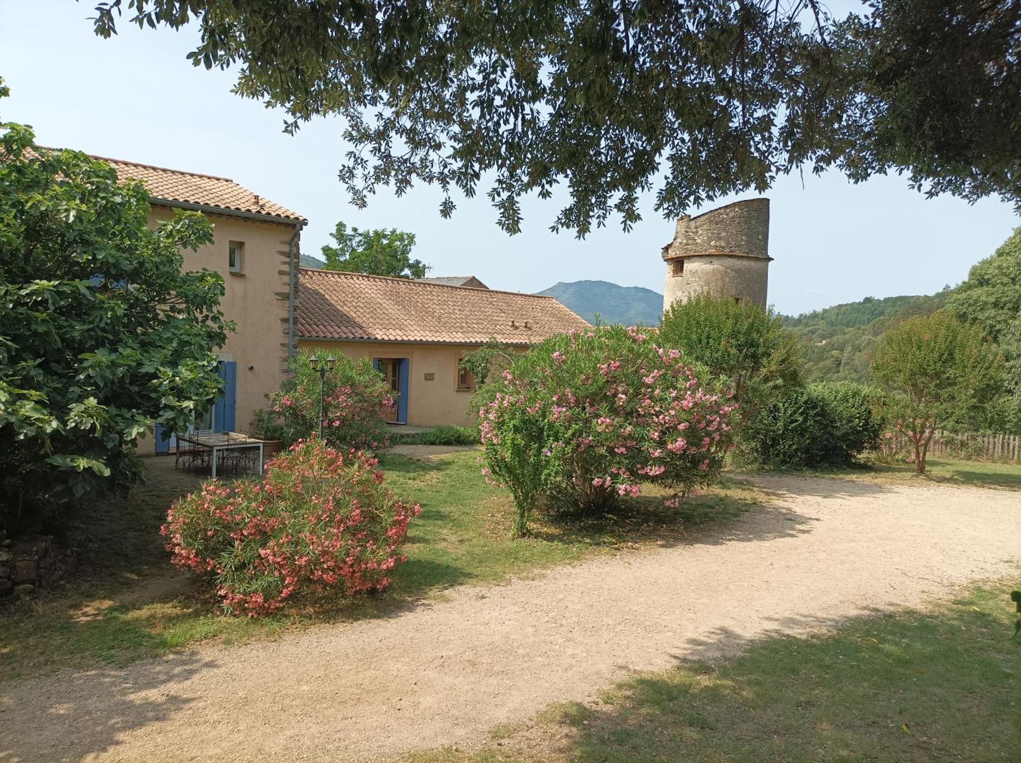 Chateau De Colombieres Sur Orb Bagian luar foto