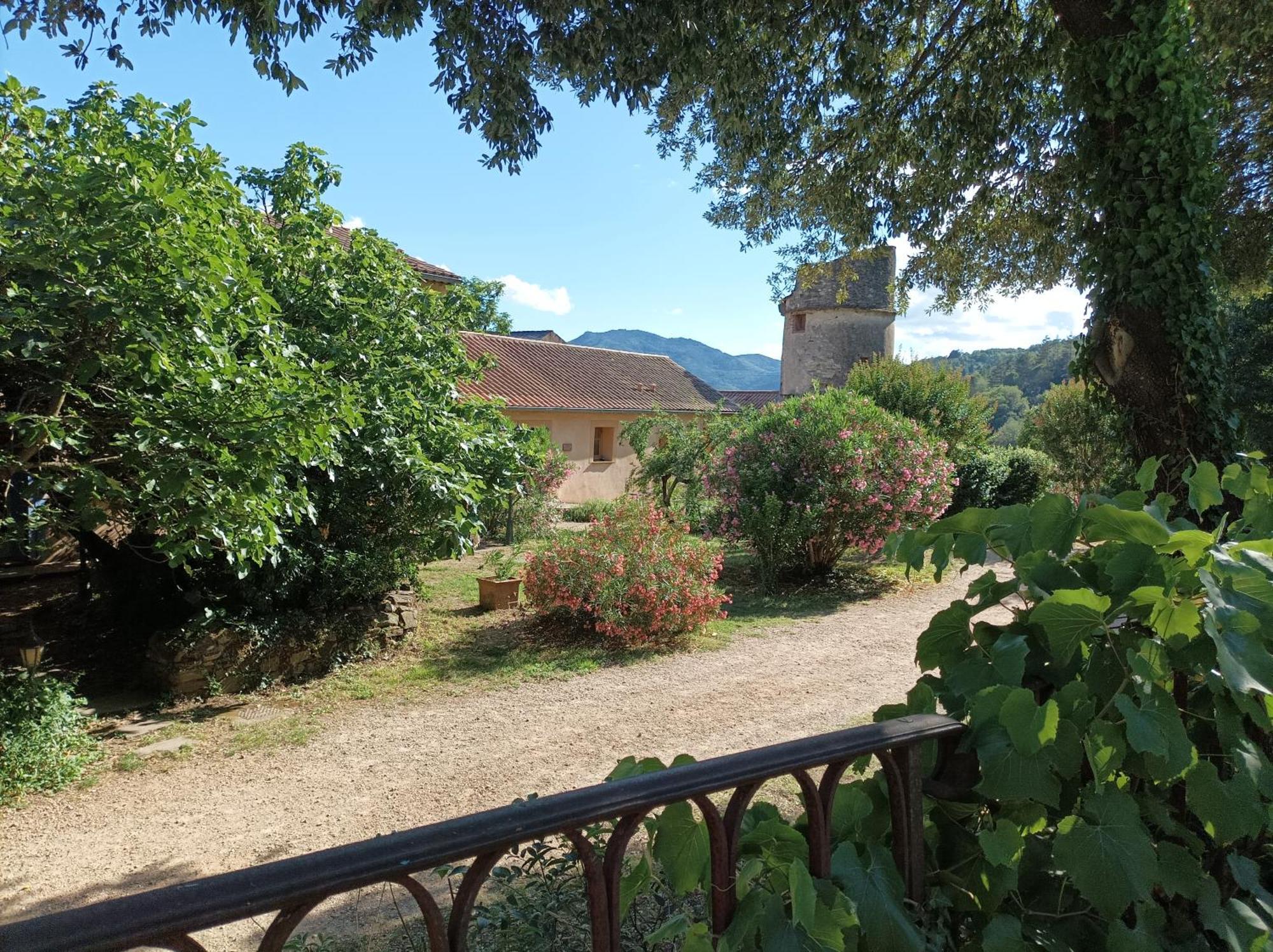 Chateau De Colombieres Sur Orb Bagian luar foto