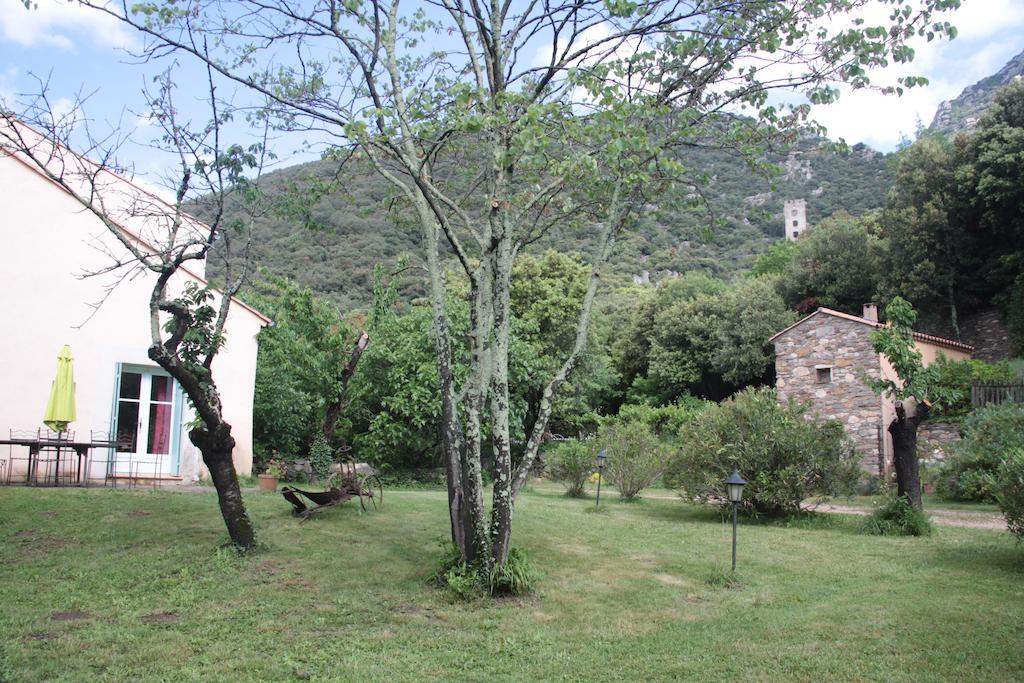 Chateau De Colombieres Sur Orb Bagian luar foto